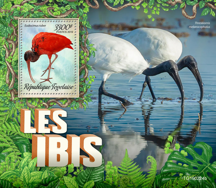 Ibis - Issue of Togo postage stamps