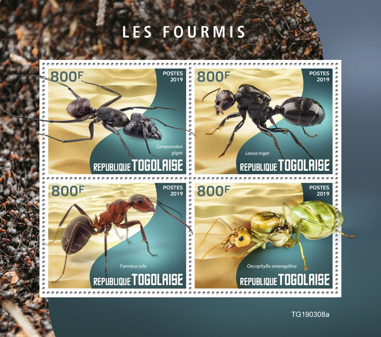 Ants - Issue of Togo postage stamps