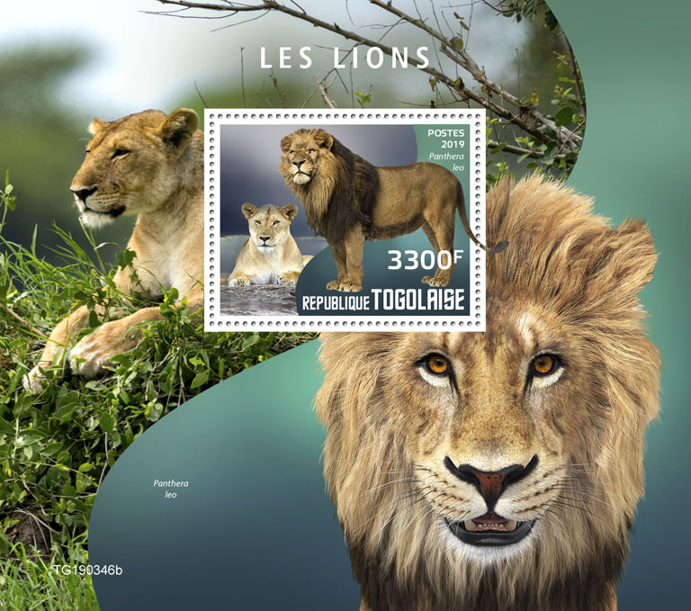 Lions - Issue of Togo postage stamps
