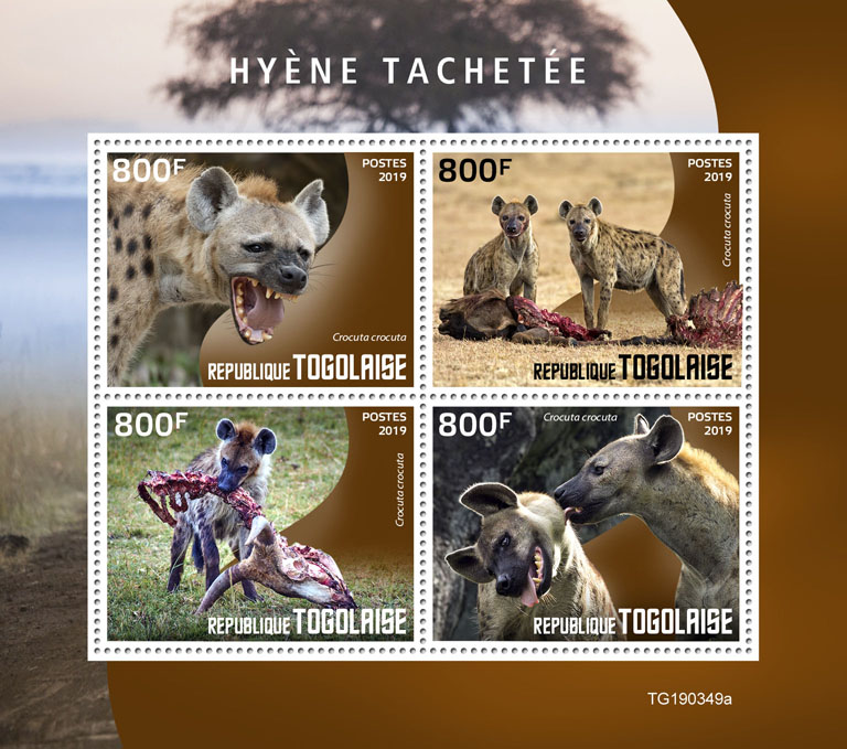 Spotted hyena - Issue of Togo postage stamps