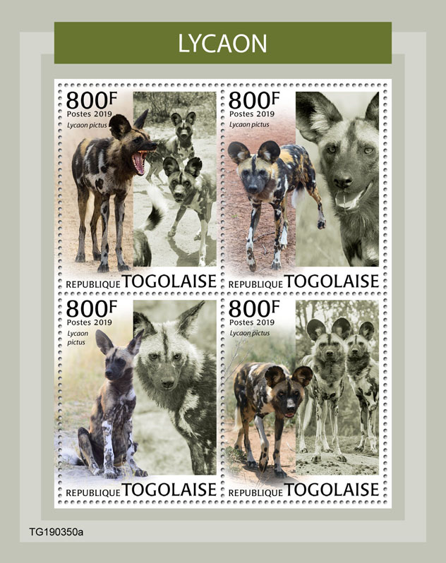 African wild dog - Issue of Togo postage stamps