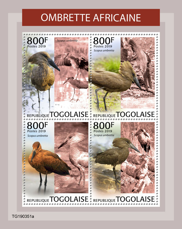 Hamerkop - Issue of Togo postage stamps