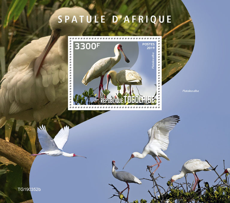 African spoonbill - Issue of Togo postage stamps