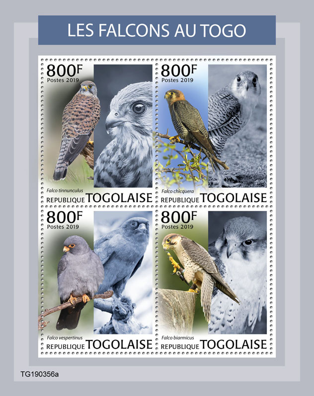 Falcons in Togo - Issue of Togo postage stamps