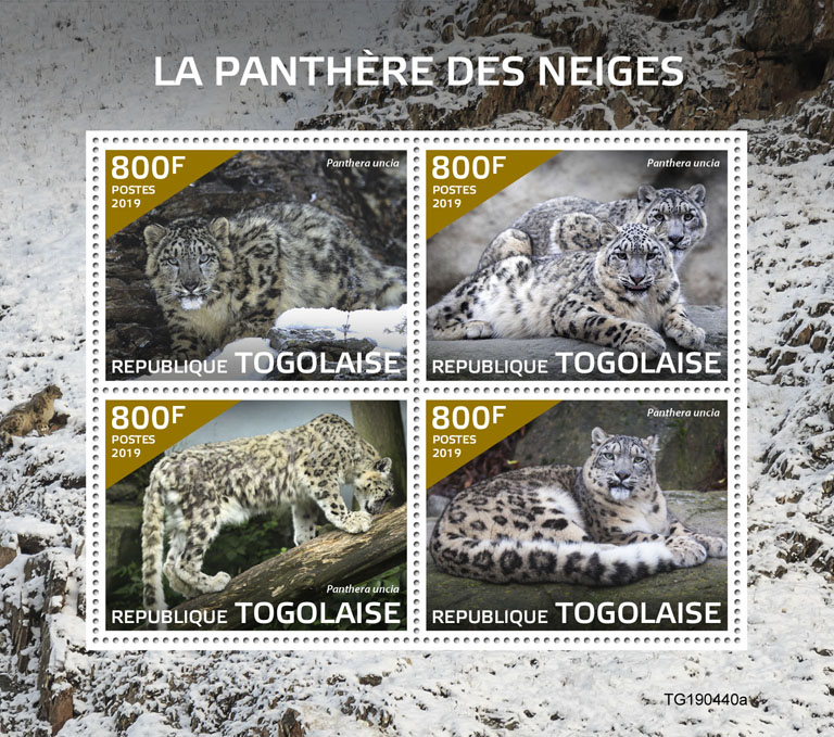 Snow leopard - Issue of Togo postage stamps