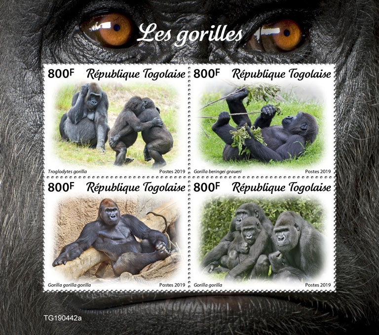 Gorillas - Issue of Togo postage stamps