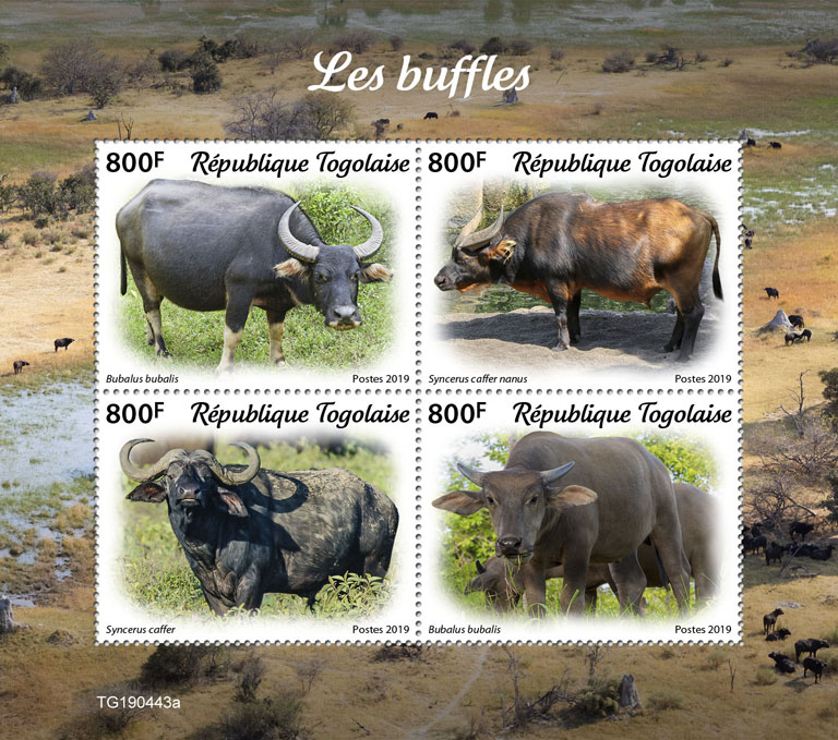 Buffalos - Issue of Togo postage stamps
