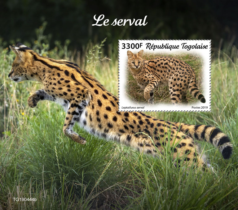 Serval - Issue of Togo postage stamps