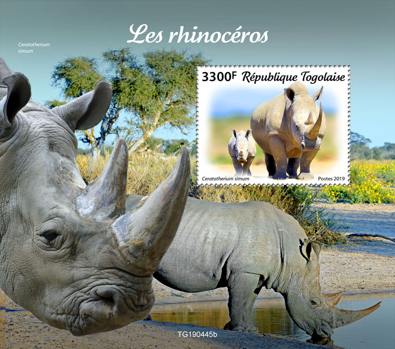 Rhinos - Issue of Togo postage stamps