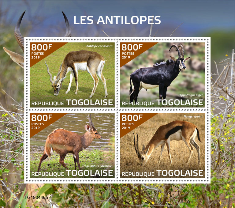 Antilopes - Issue of Togo postage stamps