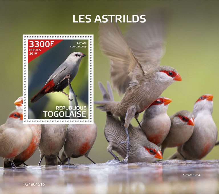 Waxbills - Issue of Togo postage stamps