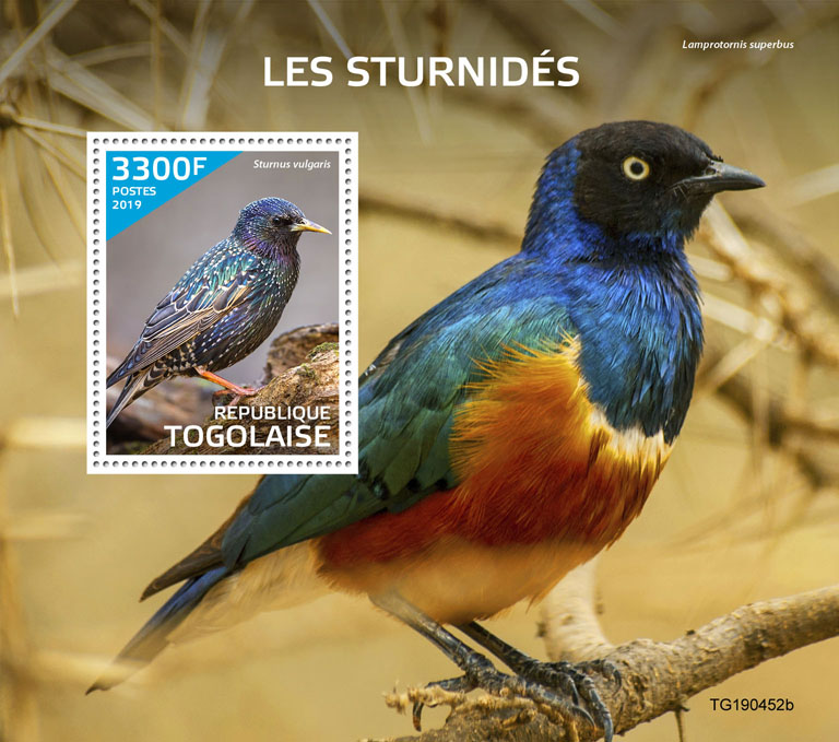 Starlings - Issue of Togo postage stamps