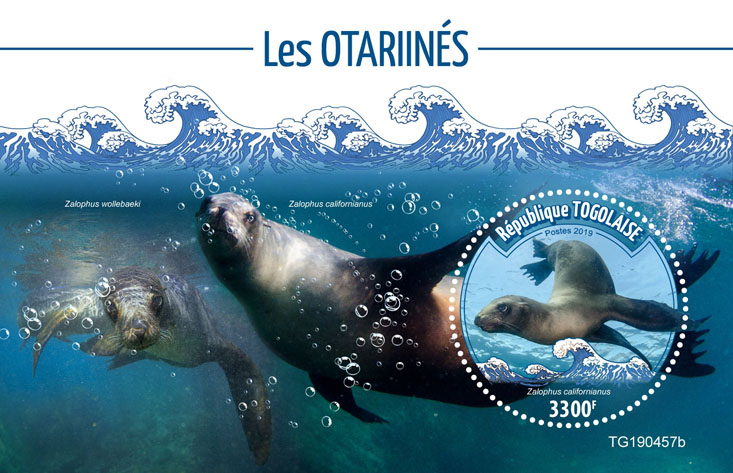 Sea lions - Issue of Togo postage stamps