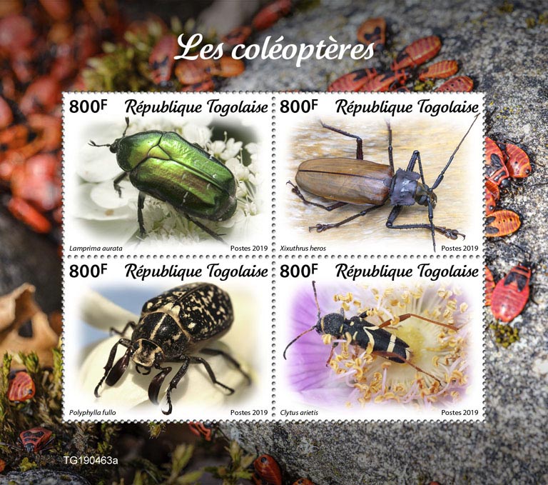 Beetles - Issue of Togo postage stamps