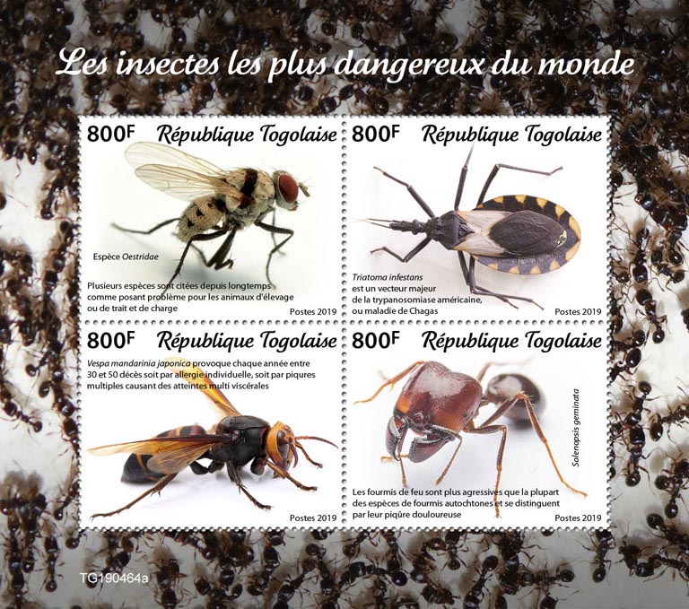 The most dangerous insects in the world - Issue of Togo postage stamps